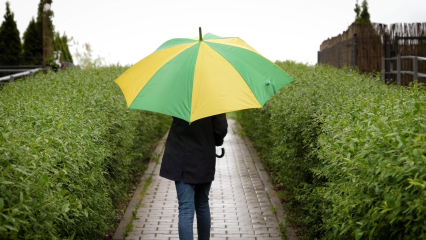 Little kid girl walking under umbrella in rainy spring day along green bushes