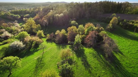 Aerial footage of beautiful landscape with many trees on meadows
