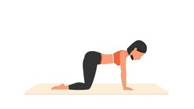 Bird dog exercise. Female workout on mat. Fitness woman exercising. Looped 2D animation with young girl character training. Sport and healthy lifestyle concept.
