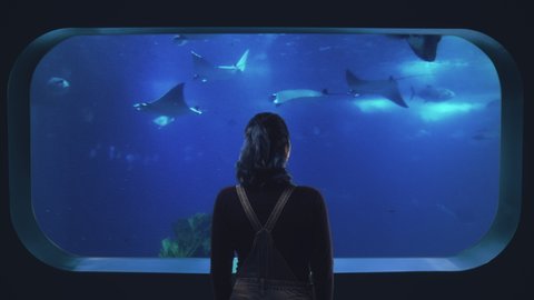 Girl Alone Looking Fish Tank Stingrays From Interior Window. Girl alone observing stingrays swimming inside a fish tank. Shot from behind model