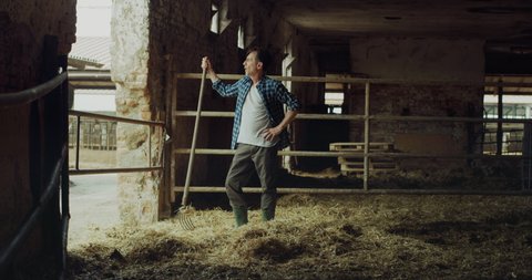 Cinematic shot of mature farmer is cleaning cowshed where he is growing ecologically cows used for biological milk products in dairy farm.