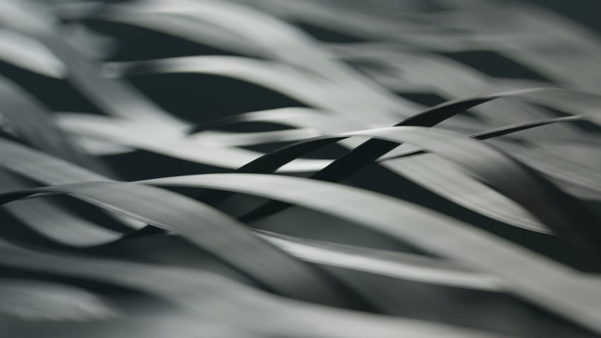 Abstract, smooth animation of multiple detailed ribbons dancing in the wind. Carbon fibers bend in the shape of waves. Close up shot with nice depth of field bokeh effect. Royalty-Free Stock Footage #1090759357