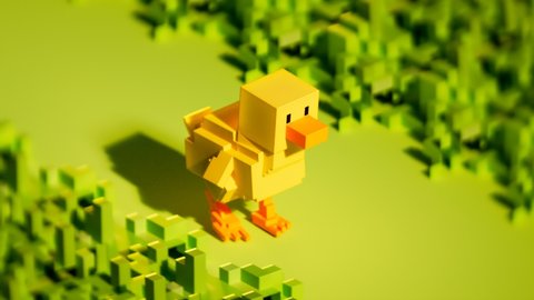 Voxel yellow small chicken build with small blocks walking slowly on a grass field. Simple animation of a bird calmly walking. Pixel, fun, game-style farm animals in motion. Vibrant colors.