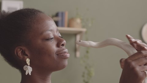 Medium closeup portrait of smiling young African American woman holding white rat snake in hands and posing for camera, standing against olive green wall indoors