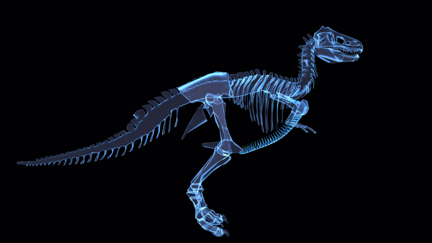 T-Rex skeleton hologram on alpha channel background.