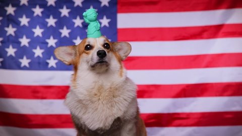 Proud Welsh Corgi Pembroke dog with a statue of liberty in front of the American flag. Flag Day in the United States of America. Fourth of July Independence Day. Patriotic dog. Celebrate USA.