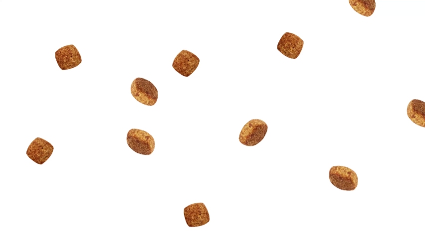 Close up dog food falling and flying around poured in different directions, isolated on white. 4k hi-res. Infinite looped animation. Isolated on white | Shutterstock HD Video #1090771495