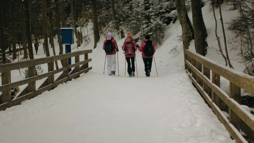 Path and bridge in the park covered in snow. Cold walk in the forest. Beautiful snow scene
