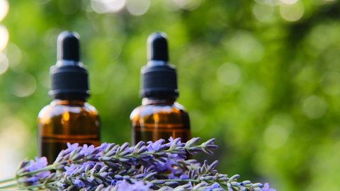 Lavender organic oil in the summer garden.Aroma of lavender.Essence with lavender scent. Aromatherapy and massage.Cosmetics with lavender extract. 4k footage