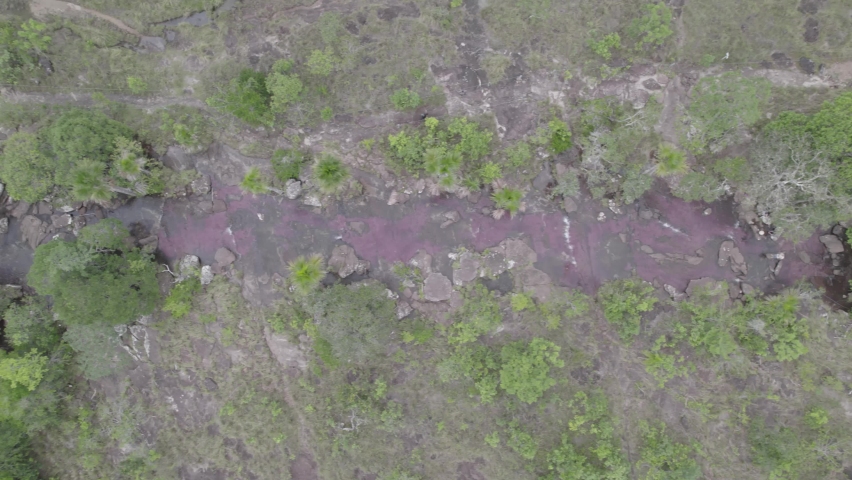 Topdown Of The Rainbow River In Tropical Forest Of Colombia In Caño Cristales. Aerial Shot