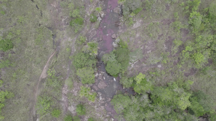Top View Of Liquid Rainbow River At Caño Cristales In Meta Province, Colombia. Aerial Tracking Shot