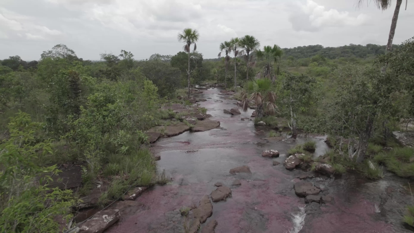 Colombian Wonders With Rainbow River In Dense Rainforest. Aerial Drone Shot