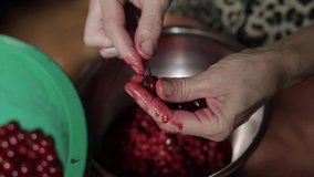 Women's hands peel cherries from the pits. Cherries are cleaned for jam, a woman takes out the seeds from the cherries.