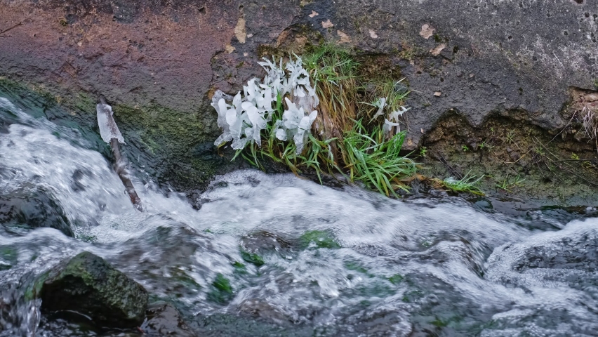 Crystals of Ice and Icicles Forming on Bank of Fast Flowing Clean Water Stream on Cold Day 