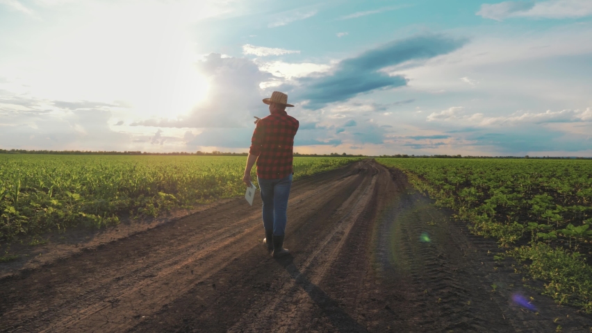 Silhouette farmer man engineer with digital tablet walking in field in rays of sun on field. Small business work in agriculture. Agronomist inspect their rural surroundings. Summer walk in nature.