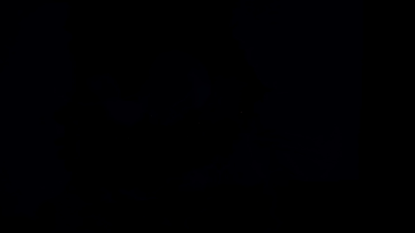 Close-up cat muzzle in round eyewear. Animal under red blue cop car flashing light. Glamour fluffy pet, studio shot. Kitty accessories, robber, police concept.