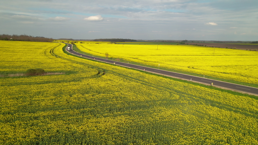 AERIAL: Cargo trucks and cars driving on motorway road passing by yellow fields. Running traffic on beautiful countryside asphalt roadway surrounded with flowering brassica rapa agricultural fields.