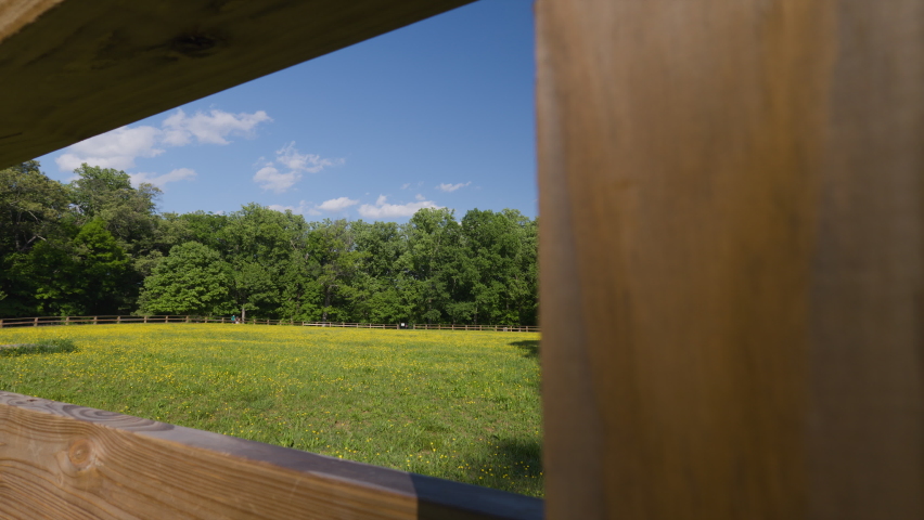 Equitation Field in Washington DC