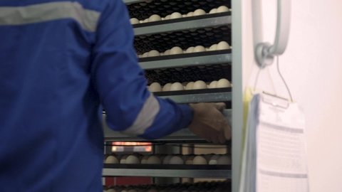 A room that contains several egg racks for the process of hatching chicken eggs.