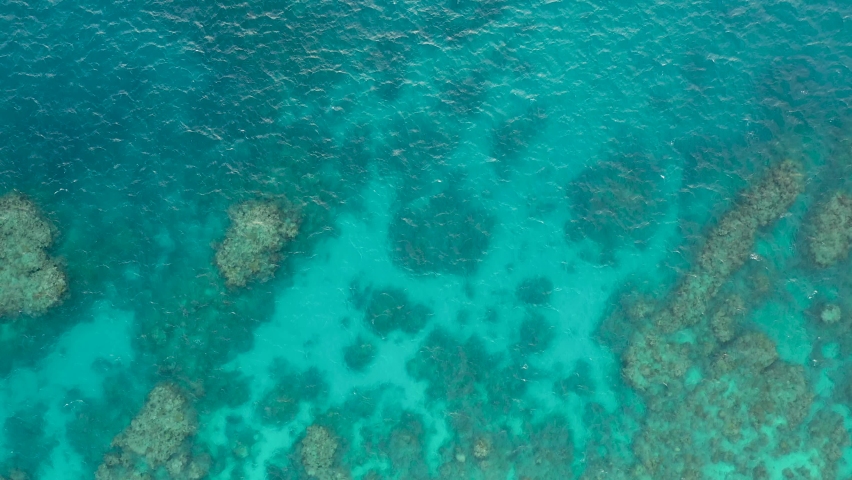 Great Barrier Reef top down aerial view of coral ecosystem and turquoise ocean, near Cairns, Queensland, Australia