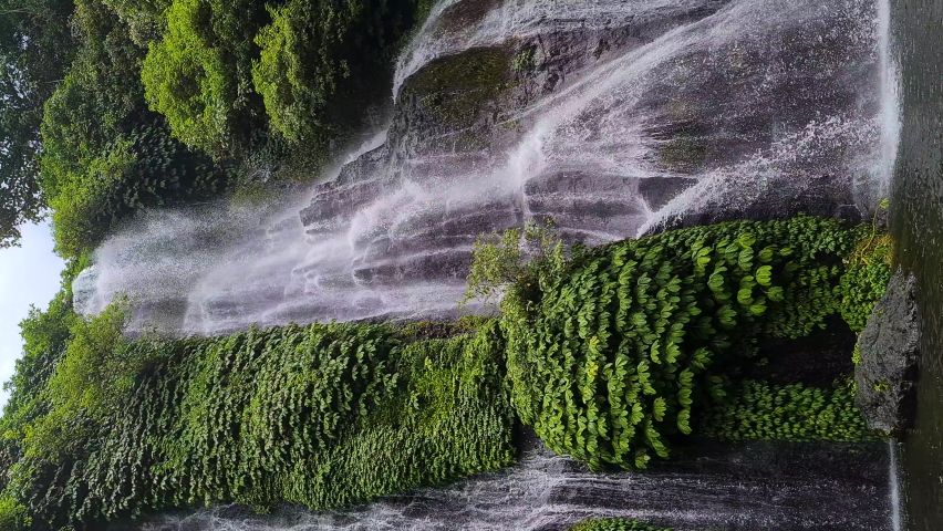 Vertical Video, Waterfall in Tropical Jungle of Bali Island, Indonesia. Banyumala Twin Waterfalls