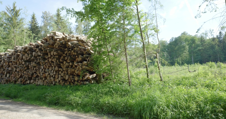Tall pile of stacked cut trees or woodpile in a forest in Switzerland Europe. Forestry works, sunny summer day, real time, no people | Shutterstock HD Video #1090827689
