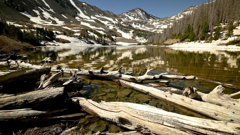 Logs on the shore of Lakes of the Clouds in Westcliffe, Colorado