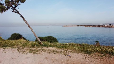 Cartera de videos de stock de Buzzpod | Shutterstock