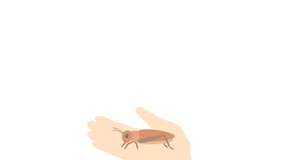 Animation of edible crickets held by the right hand