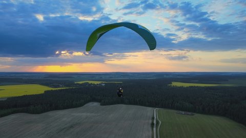 a paraglider flies at sunset against the background of fields of flowering rapeseed
