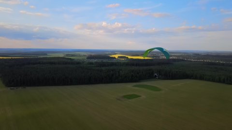 a paraglider flies at sunset against the background of fields of flowering rapeseed