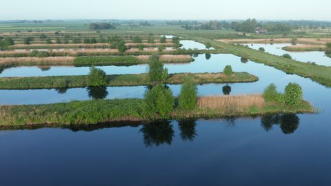 Scenery Of Dutch Polder With Mirror Reflection In Weerribben Near Ossenzijl In Friesland, Netherlands. Aerial Drone Shot