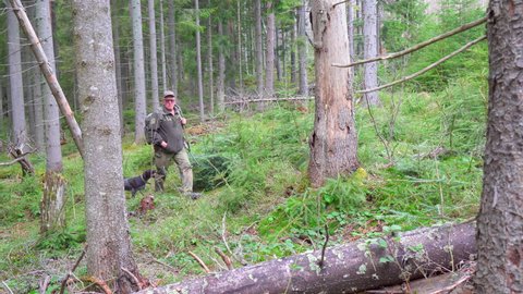 Old Hunter in the woods with his dog. Male hunter hunting with his hunting dog outdoors. German wirehaired pointer. Hunter with his shotgun in middle of nature.