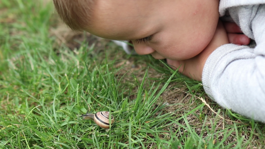 Close-up portrait baby boy child watching garden snail crawling green grass outdoors. caucasian 3 year old kid exploring wild life animal sunny day. baby lying down, looking snail, playing, touching 