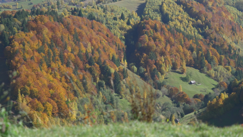 Vivid colors of the fall season on the mountain slope
