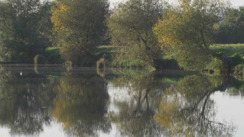 Lake shore summer nature landscape