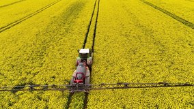 Yellow canola field. Field of blooming rapeseed aerial view. Farm tractor cultivates the field with fertilizer. Yellow rapeseed flowers and sky with clouds above them. Shot by a drone. 4K