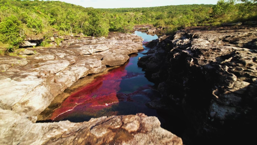 A rocky riverbed of seven colors of Caño Cristales with red algae flowing through the green rainforest - Colombia 