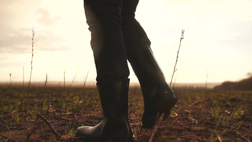 Agriculture. Farmer in field in rubber boots. Dirty land, fertile soil. Farmer walks along rural road near field. Legs in rubber boots. Rain on earthy soil. Concept of agriculture. Rain on rural road Royalty-Free Stock Footage #1090874101