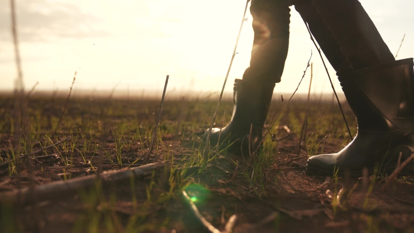 Agriculture. Farmer in field in rubber boots. Dirty land, fertile soil. Farmer walks along rural road near field. Legs in rubber boots. Rain on earthy soil. Concept of agriculture. Rain on rural road Royalty-Free Stock Footage #1090874101