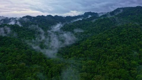 Amazing aerial view of an in fog covered green tropical forest on a dark day after storms with a beautiful dark cloudscape