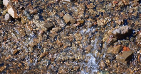 Shallow Mountain Stream Rocky Bottom Meltwater Stock Footage Video (100 ...