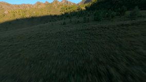 FPV sports drone shot alpine mountain summit landscape hilly terrain covered by yellow dry grass summer plants. Aerial view picturesque flight sunset sunrise natural valley cliff peak rocky area in 4k