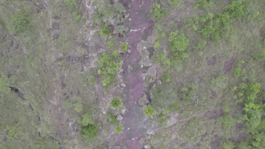 Top View Of Caño Cristales River In Sierra de la Macarena, Meta Province, Colombia. Aerial Tracking Shot