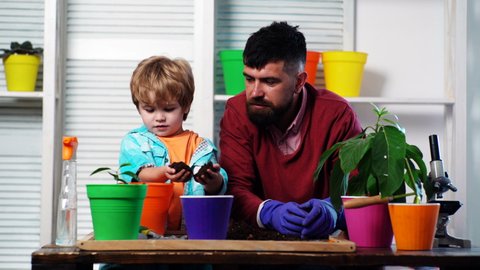 Father ans son little child growing plant in pot. Happy loving family at home. Little cute boy helps his parents. Happy family planting sprout in a plant pot.