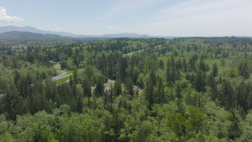 Push forward and tilt down towards a rest stop nestled amongst the trees in Bellingham, Washington on a gorgeous blue sky day.