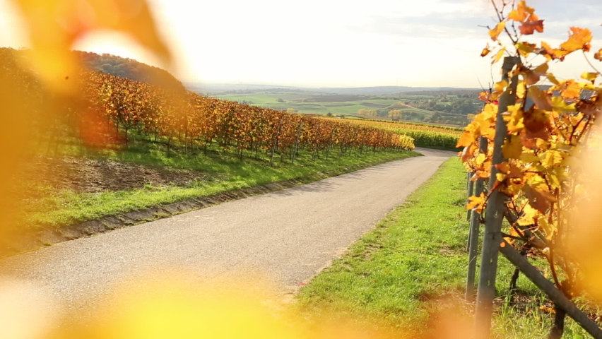 someone who rides a bike