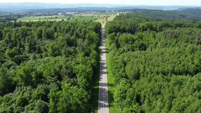 Steady aerial drone shot of straight country road through the green forest with lonely car in summer