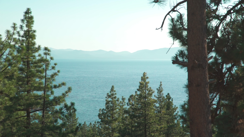 Lake Tahoe view through pine trees on a sunny day in the summer. View of the blue clear waters and mountains of the Tahoe area.