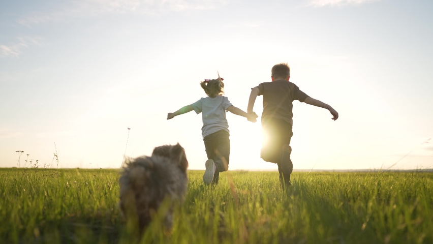 Happy cheerful family. Children have fun running on green grass in park with dog. Girl and boy are play in field in the spring with dog. Love for pet. Children run with dog at sunset in summer.